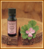 lavender oil